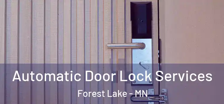 Automatic Door Lock Services Forest Lake - MN