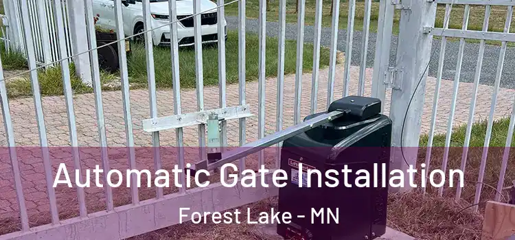 Automatic Gate Installation Forest Lake - MN