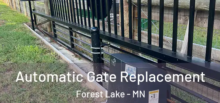 Automatic Gate Replacement Forest Lake - MN