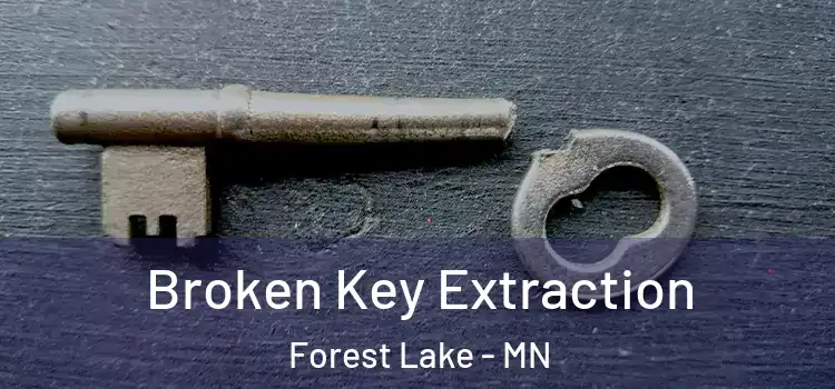 Broken Key Extraction Forest Lake - MN