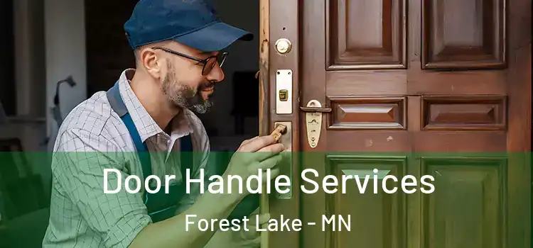 Door Handle Services Forest Lake - MN