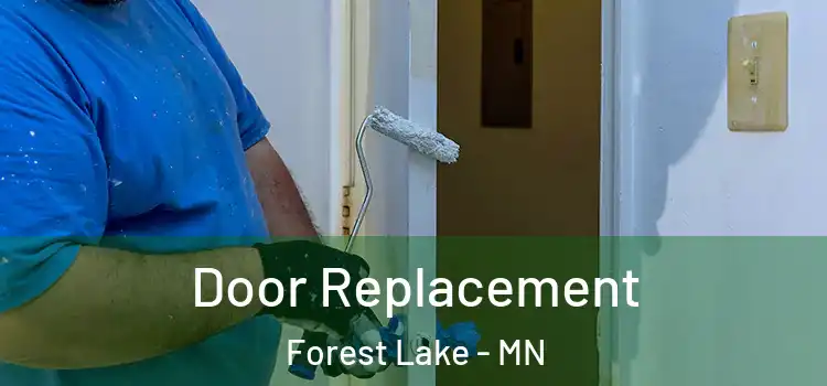 Door Replacement Forest Lake - MN