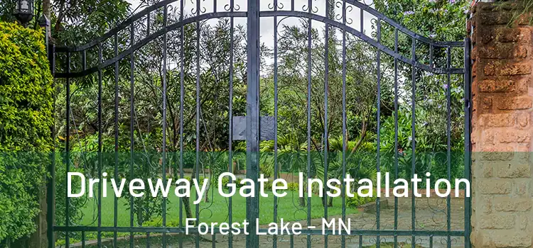 Driveway Gate Installation Forest Lake - MN
