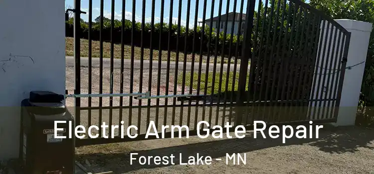  Electric Arm Gate Repair Forest Lake - MN