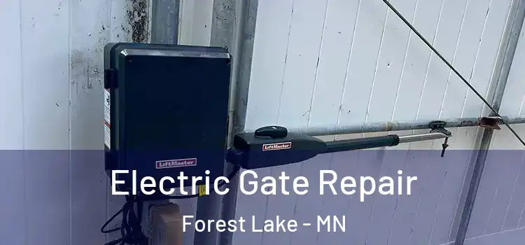 Electric Gate Repair Forest Lake - MN