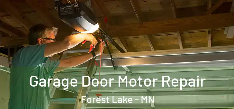  Garage Door Motor Repair Forest Lake - MN
