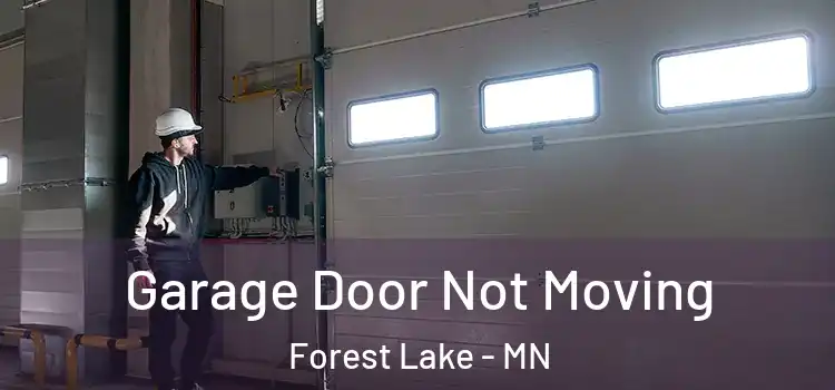  Garage Door Not Moving Forest Lake - MN