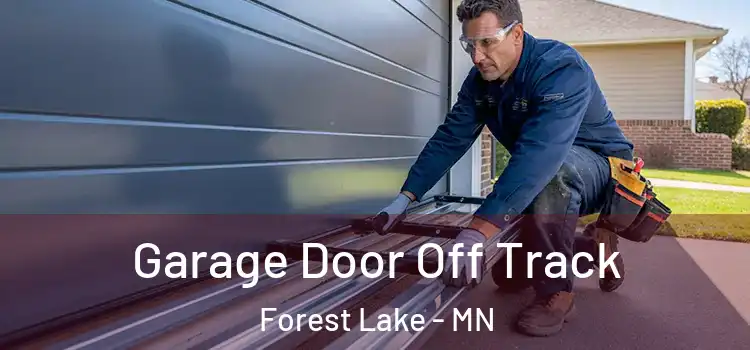  Garage Door Off Track Forest Lake - MN