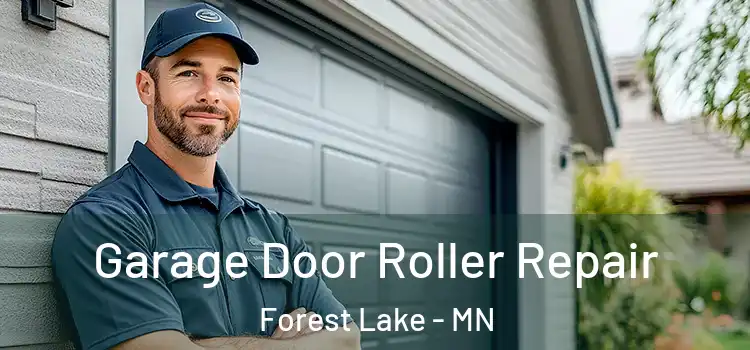  Garage Door Roller Repair Forest Lake - MN