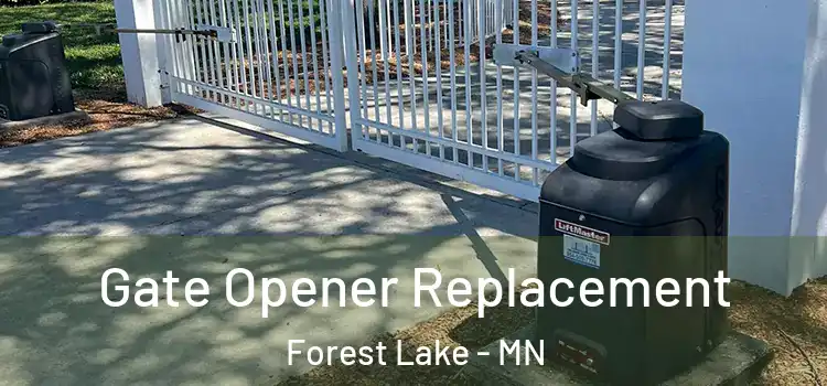 Gate Opener Replacement Forest Lake - MN
