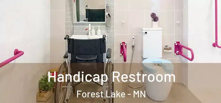 Handicap Restroom Forest Lake - MN