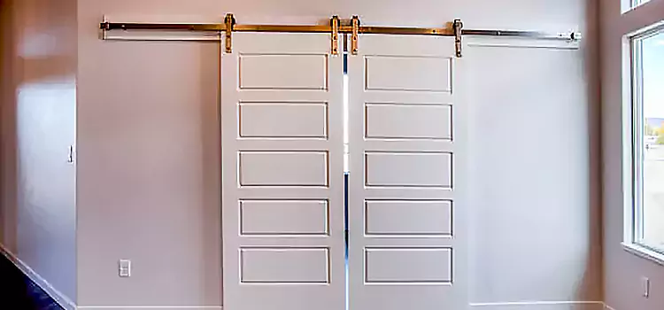 Glass Barn Door with Installation Hardware Kit Forest Lake