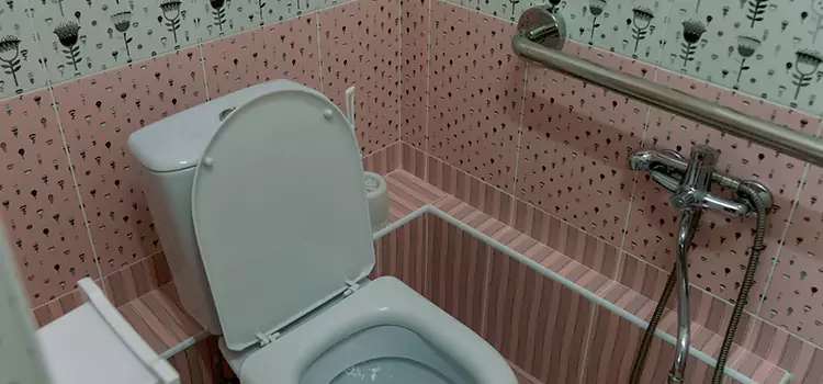 Meeting Diverse Needs With Accessible Restroom Solutions in Forest Lake, MN