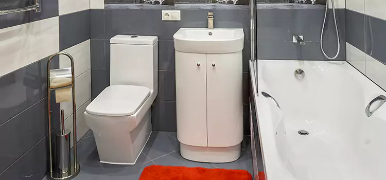 Hansgrohe Shaving Mirror Forest Lake
