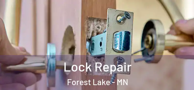 Lock Repair Forest Lake - MN