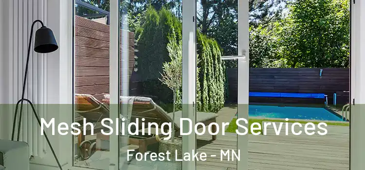 Mesh Sliding Door Services Forest Lake - MN