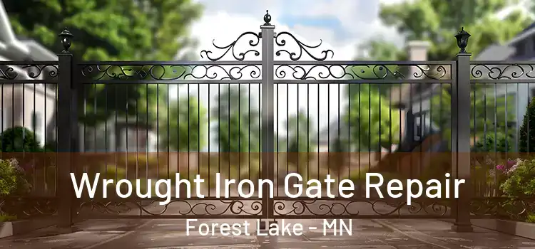 Wrought Iron Gate Repair Forest Lake - MN